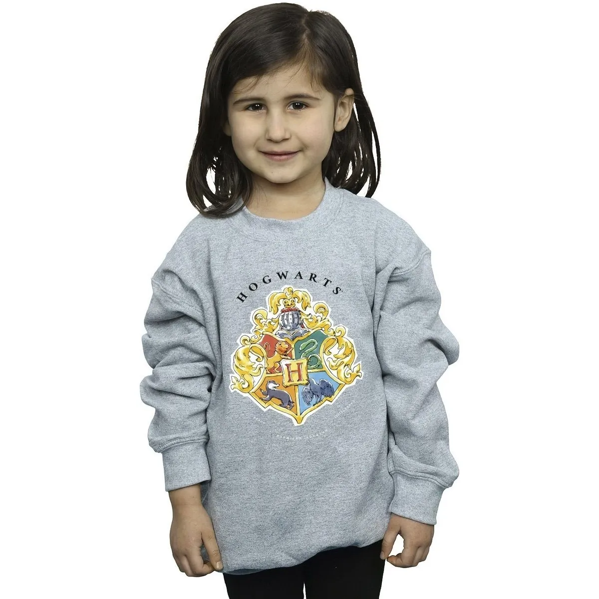 Hogwarts School Emblem