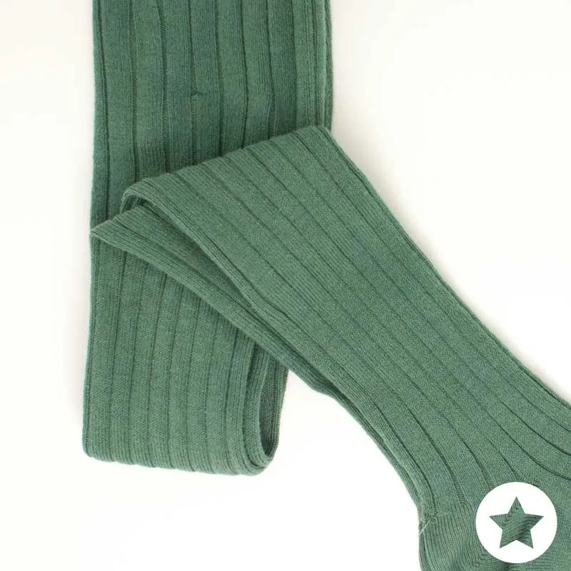 Leotardos canale liquen